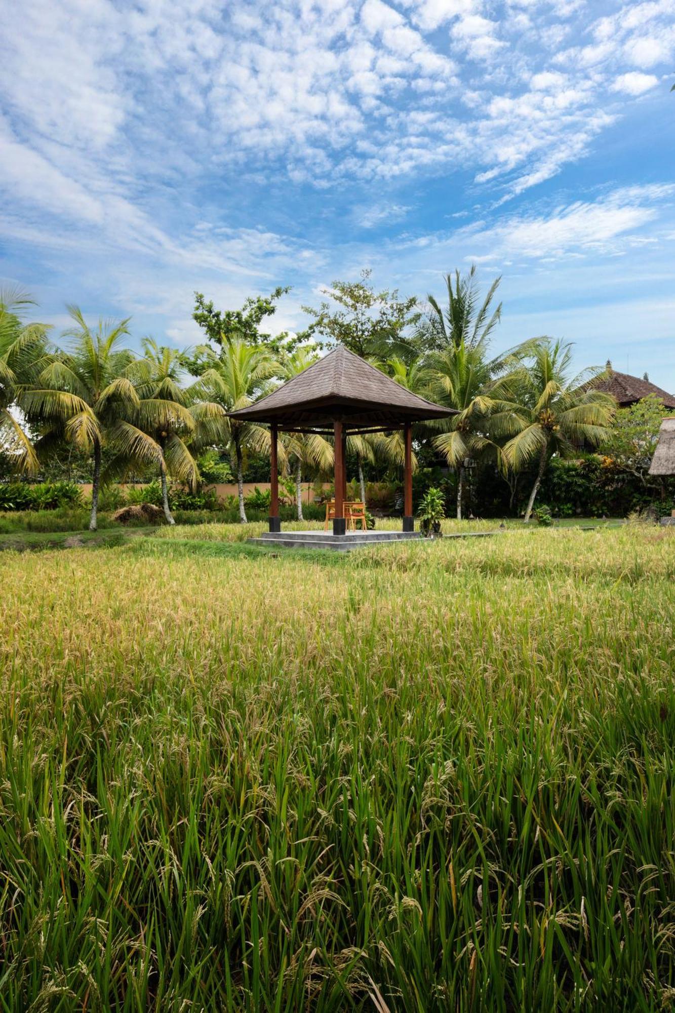Svarga Bebek Resor 4*
